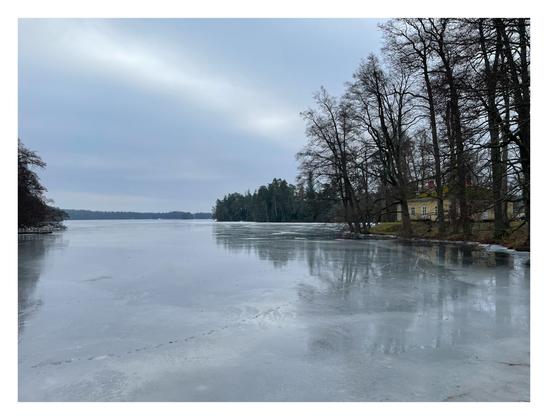 Photo of a frozen, but thawing lake. The surface suggests circular patterns, the cloudy sky features a brighter line coming downwards towards the trees on the banks. Animal traces on the ice!