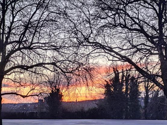A pair of trees surrounding an orange sunset with a church in the middle