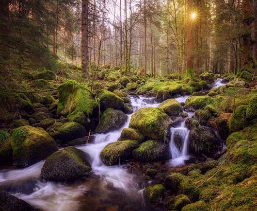 Ein kleiner Bachwasserfall in einer Waldszenerie bei Sonnenaufgang