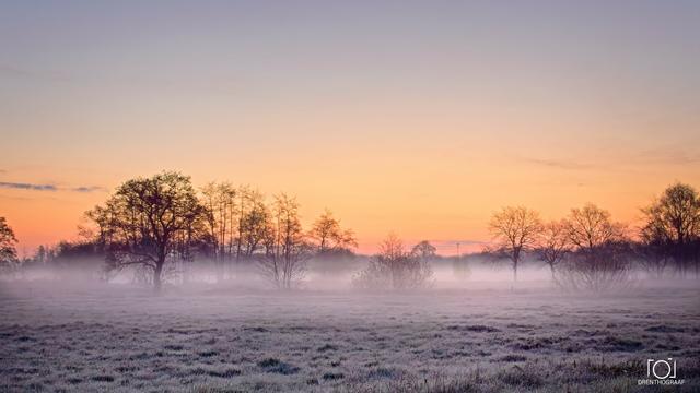 landscape with groundfog, just before sunrise