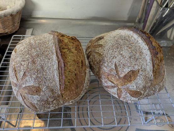 Two loaves of sourdough bread on a wire cooling rack. The loaves have a light coating of flour and have been cut before baking to produce an obvious ear and floral patterns.