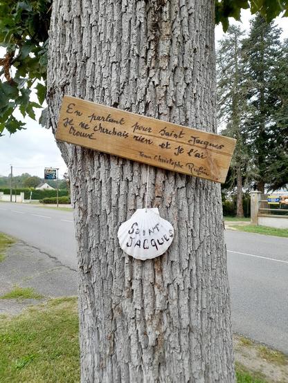 A scallop shell hanging on the trunk of a tree. Aboven it is a French sign that reads "when leaving for the way of Saint James I was looking for nothing and I found it"