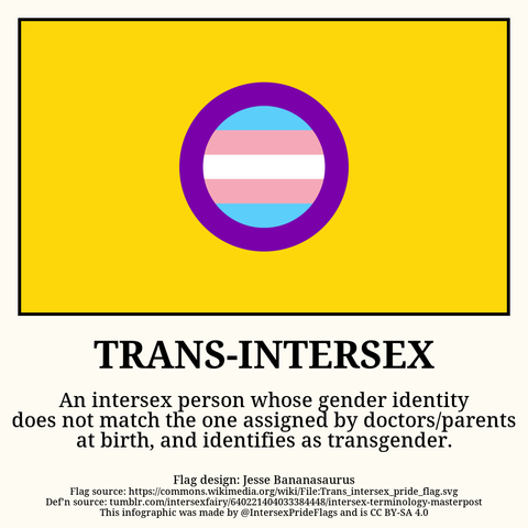A purple ring on a yellow background. In the middle of the ring is the trans flag.