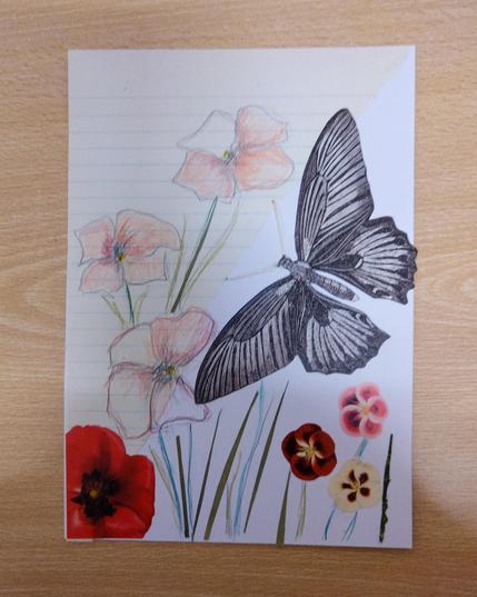 Una mariposa en blanco y negro sobrevuela un campo de amapolas dibujadas y pegadas. Las antenas amarillas de la mariposa están bordadas.