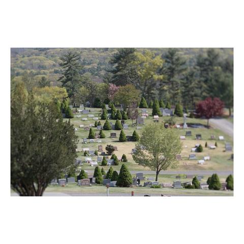 tilt shift photo of cemetery with ornamental grave stones and trees