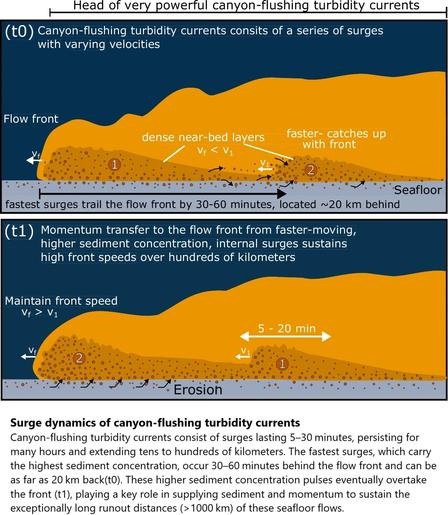cross section / schematic - Surge dynamics of canyon-flushing turbidity currents