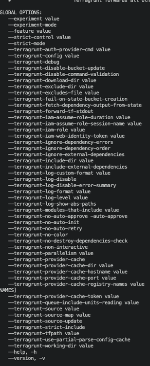 a disgustingly long list of arguments/flags to Terragrunt