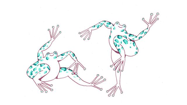 deux dessins de grenouilles qui dansent