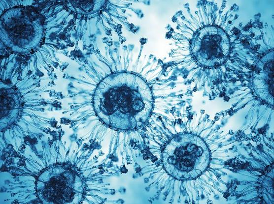 Coscienza cellulare, la vita non finisce con la morte dell'organismo