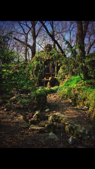 Park landscape that looks like the entrance to an ancient temple in the jungle.