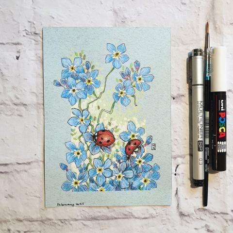 A small drawing on blue paper of little blue Forget Me Not flowers with two red ladybird beetles sitting on the flowers. The drawing measures 5 by 7 inches.
Many ladybirds are predatory, feeding on aphids and scale insects helping keep these insects under control in our gardens. Forget-me-not is a humble spring flower, which appears in frothy blue clouds at the front of borders and at the edges of paths.
An original art work
Colour pencil and mixed media on acid free toned artist paper
5 by 7 inches (12.7 by 17.8 cm).
Sold unframed
