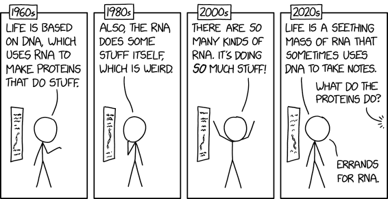 xkcd illustrates our changing perspective on the importance of RNA