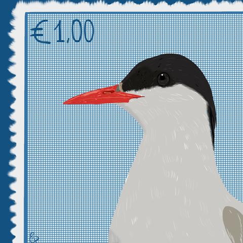An arctic tern, a bird with a long and sleek red beak, black head and creamy-white plumage, on a light blue postal stamp, cartoon style.