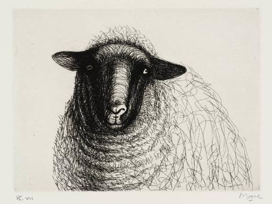 Le portrait d'un mouton vu de face, au crayon noir (enfin, je crois) sur fond blanc. Très réaliste mais très drôle aussi. Sa tête bien foncée, fait ressortir ses naseaux, plus clairs. Ses petits yeux ont l’air coquin, à cause des oreilles rabattues en équerre et des petits poils frisottés qui dansent sur son crâne. Le haut de son corps est comme une ronde masse duveteuse.