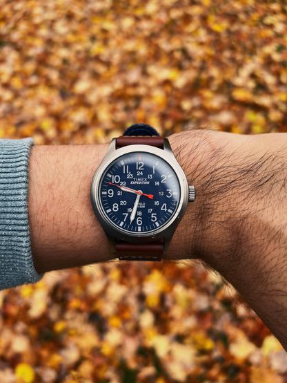 A close-up of a wrist wearing a Timex Expedition watch with a brown leather strap, set against a blurred autumn leaves background.