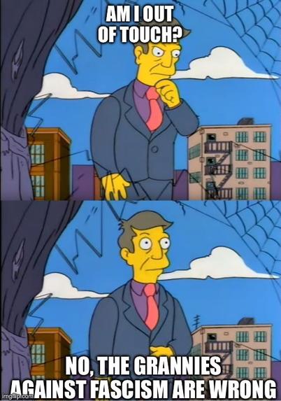 principal Skinner meme from Simpsons. Am I out of touch? No it is the grannies against fascism who are wrong.