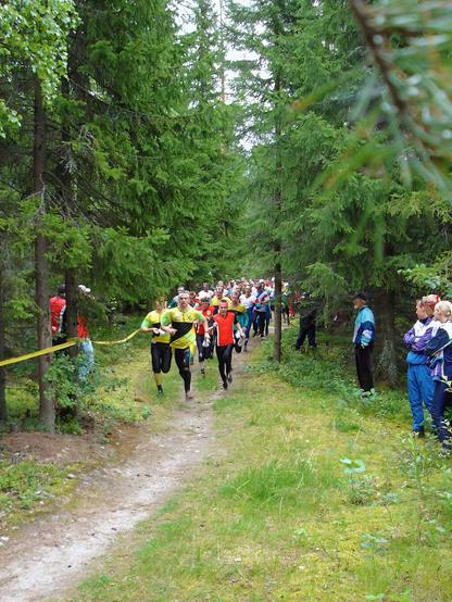 Suunnistuksen Keski-Suomen aluemestaruusviestikilpailun aloittajia täydessä vauhdissa.