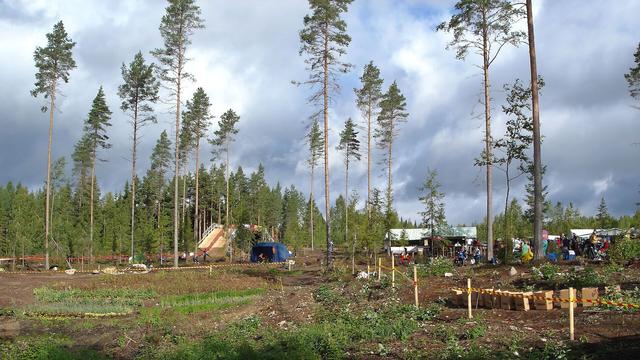 Nuorten ja veteraanien suunnistuksen SM 2004 kisan kisarakenteita harvaksi hakatun metsän laidalla. Taustalla näkyy suunnistajia varten tehty tien ylittävä silta.