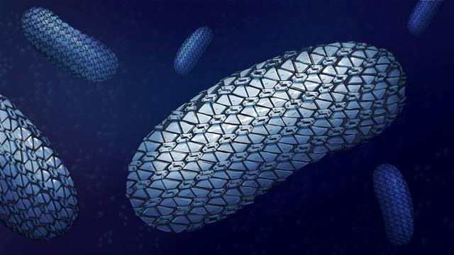 An image showing several bacterial cells, covered in a metal looking armour