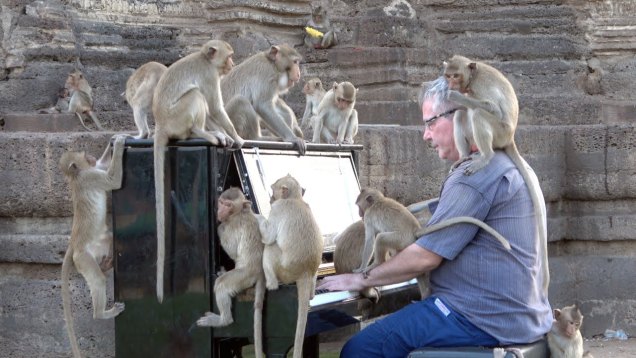 a man plays upright piano for a group of macaque monkeys sitting on the piano, keys and the man's shoulders.