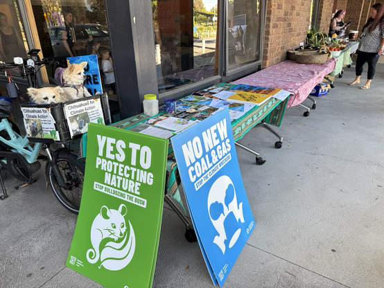 Two dogs in a bike basket behind a climate stall