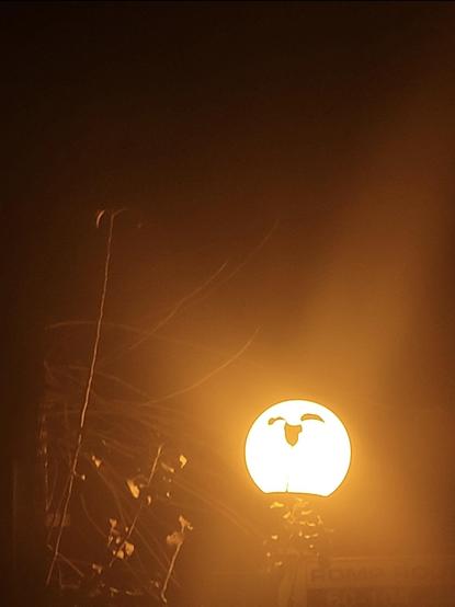 A nighttime photo of a round lamp with a little happy face. (The face is made from the silhouette of leaves.)
