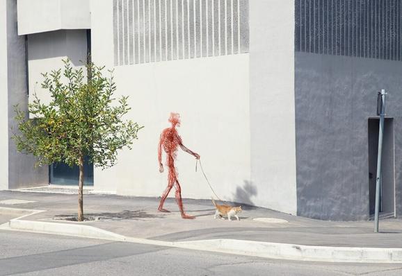 la-fragilite-dun-humain-de-veines-et-darteres-human-after-all-7