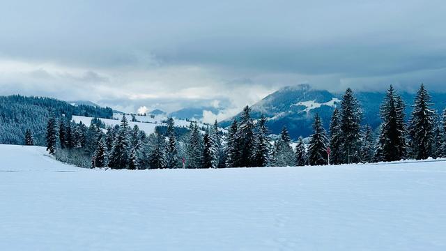 View past snow-covered fields and fir trees down into the Ägerital (Ägeri valley) on a foggy overcast day.  Low-lying clouds obscure views of the Swiss Alps that would be in the distance.