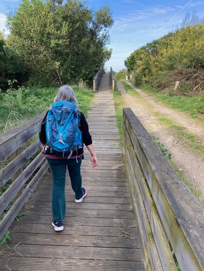 Woman wearing a bright blue backpack walking down a rural path consisting of a pedestrian boardwalk next to a dirt farm road with lightly wooded land on both sides.