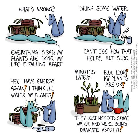 A comic of two foxes, one of whom is blue, the other is green. In this one, Blue arrives to the scene as Green is sulking on the floor, next to a collection of wilting potted plants. Blue looks at Green with concern. Blue: What's wrong? Green: Everything is bad, my plants are dying, my life is falling apart.  Blue offers Green a glass of water and a straw. Green drinks, without moving from his place on the floor. Blue: Drink some water. Green: Can't see how that helps, but sure.  Blue watches with mild surprise as Green jumps up, suddenly energetic, obliviously knocking over the glass. Green: Hey, I have energy again! I think I'll water my plants!  Soon, a caption above the foxes states "minutes later:". The formerly wilted plants are flourishing, and Green looks at them with surprise and delight. Blue, saying nothing, is looking at blue. Green: Blue, look! My plants are ok! They just needed some water and were being dramatic about it!