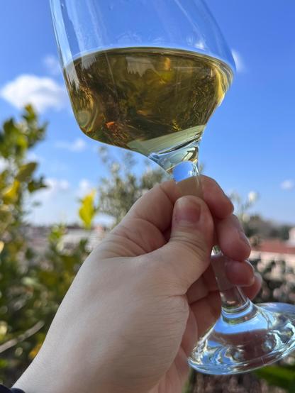 vino bianco frizzante