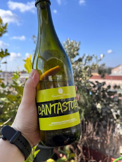 vino bianco frizzante