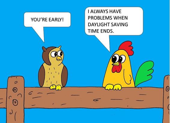 An owl and a rooster on a wooden fence. The owl says :"You are early". The rooster replies: "I always have problems when daylight saving time ends".