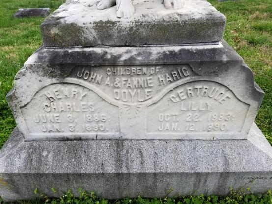 Inscription on the tombstone of above children, Henry and Gertrude, died in 1890, age 3 and 7 respectively.