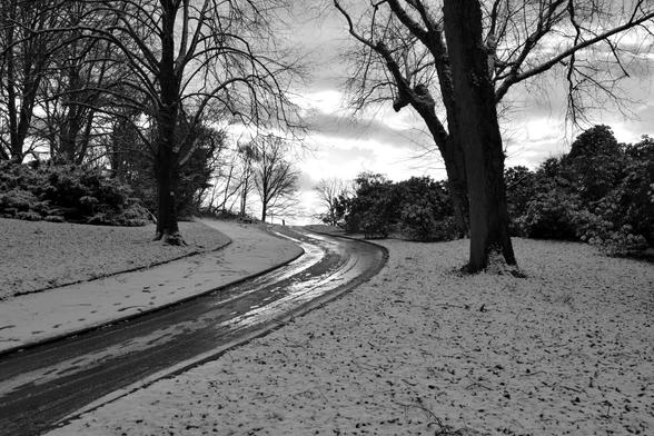 A curving road in a snowy park with bare trees and patches of sunlight breaking through clouds.

Eine kurvenreiche Strasse in einem verschneiten Park mit kahlen Baeumen und Sonnenlicht, das durch die Wolken bricht.