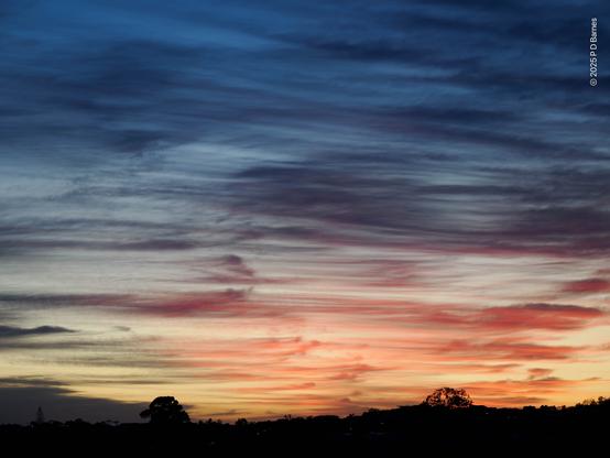 Sky covered in mare's tails, clouds blown into long, wispy streaks by a strong wind higher up, forming translucent skeins across the sky. The sun is below the horizon, but has lit the clouds closest to where it will rise on the horizon an orange-pink. The rest of the sky is the palest of yellows near the horizon, grading to a mid blue nearer zenith. The horizon and skyline is black silhouette running along the bottom of the frame, dark outlines of trees and rooftops just visible.