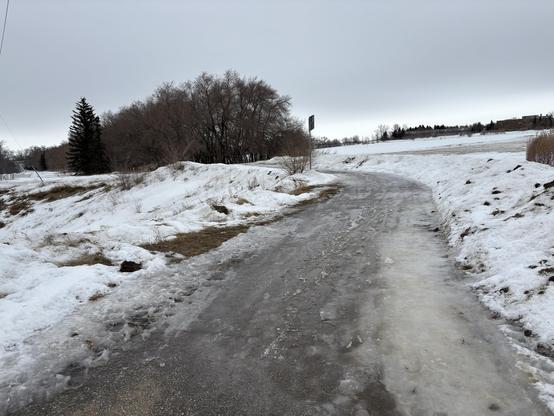 A foot path covered in thick lumpy ice. Dirty snow banks on either side. Trees in the background