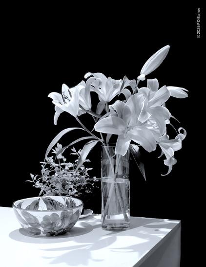 Monochrome still life of blooming lilies in a tall cylindrical glass vase, next to an empty patterned ceramic bowl and a pot of mint.