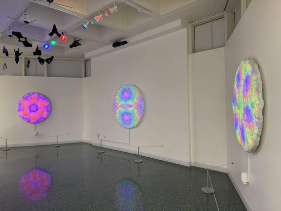 LED art panels (48" to 60" diameter) on display in airport gallery