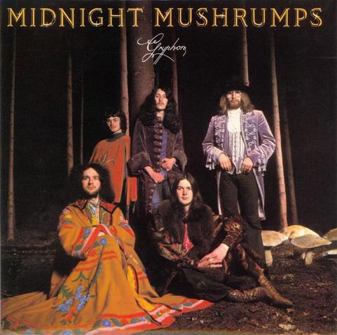MIDNIGHT MUSHRUMPS
Gryphon

The cover features the five lads from Gryphon a prog-folk/rock band wearing all manner of flamboyant costumes in a forest at night. 

I assume drug use