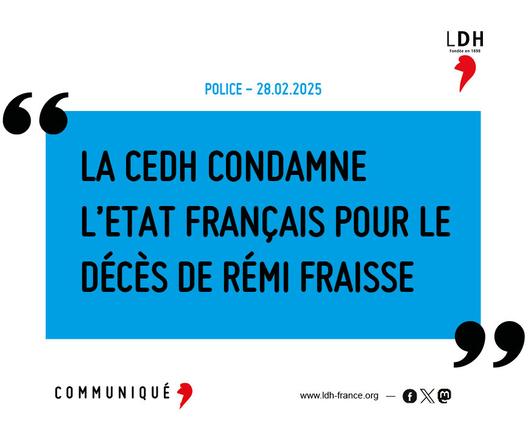 La CEDH condamne l’Etat français pour le décès de Rémi Fraisse
