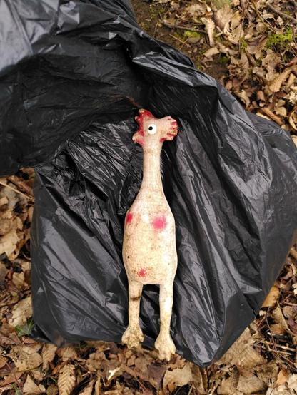 Verbleichtes und dreckiges Gummi-Huhn Spielzeug auf schwarzem Müllbeutel, der auf Boden mit vielen braunen Blättern liegt.