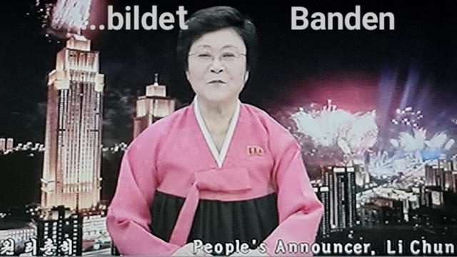 Nordkoreanische Fernsehansagerin, Spruch: bildet banden