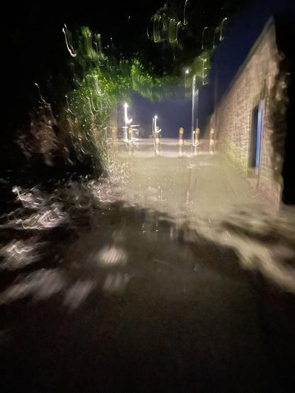 Portrait colour image of a scary looking footpath at night. The foreground is mainly in dark shadow with some streetlight dappled through overhanging dense trees. The centre of the image is lit by streetlights with dark blue night sky behind. A line of bollards are at the end of the footpath. On the right side is a high stone built wall with a blue doorway in it. The whole scene is distorted by camera movement which enhances the scariness of the shot, introducing a sense of unease. Disturbing.