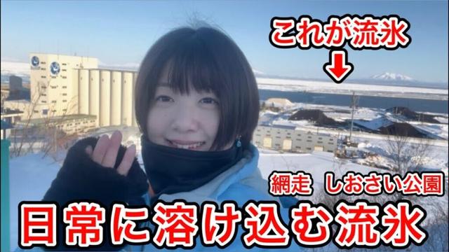 【しおさい公園✨】網走の日常に溶け込む流氷