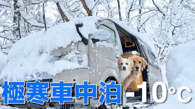 犬連れ車中泊の防災対策を全て話します【ボーダーコリー・ゴールデンレトリバー】
