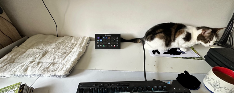 Photograph of a desk, with a cat bed on the left, a stream deck in the middle, and a brown and black tabby cat, sat on some paperwork, on the right.