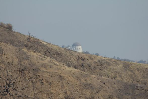 Burned Hill with Griffith Observatory in the background