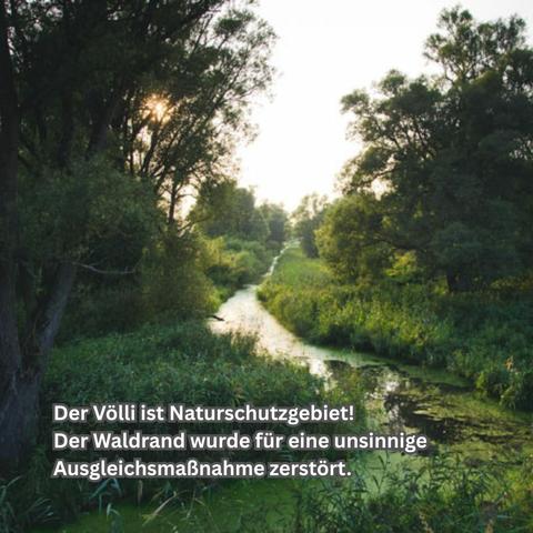 Grüner Wald rechts und links eines kleinen Kanals, die Sonne scheint durch die Bäume. Text unten: Der Völli ist Naturschutzgebiet! Der Waldrand wurde für eine unsinnige Ausgleichsmaßnahme zerstört.