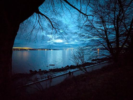 Stanley Park shoreline after sunset